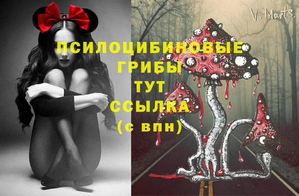 крисы Лихославль