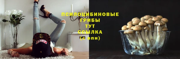 a pvp Липки