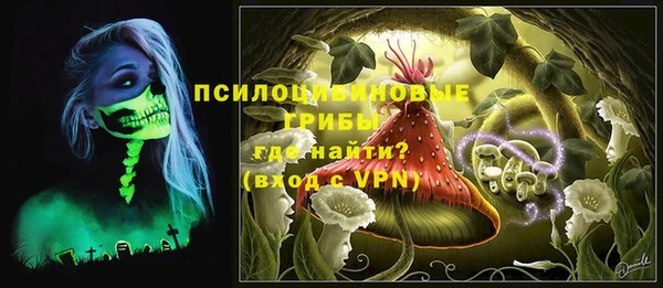 a pvp Липки
