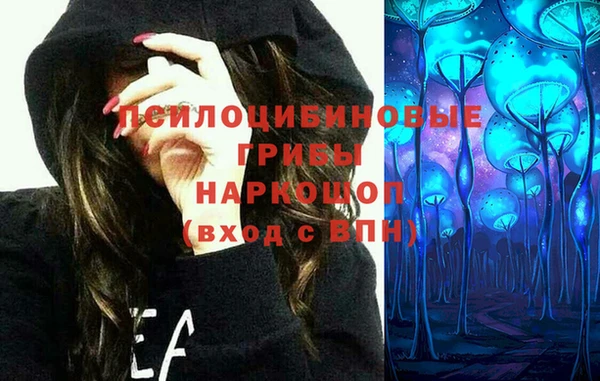 герыч Лиски