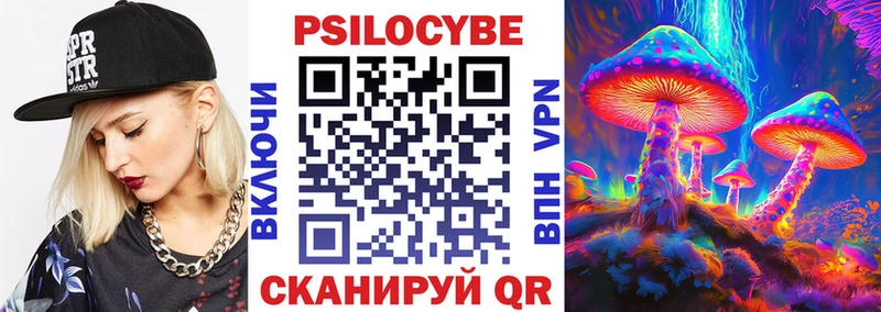 Галлюциногенные грибы Psilocybe  Дербент 