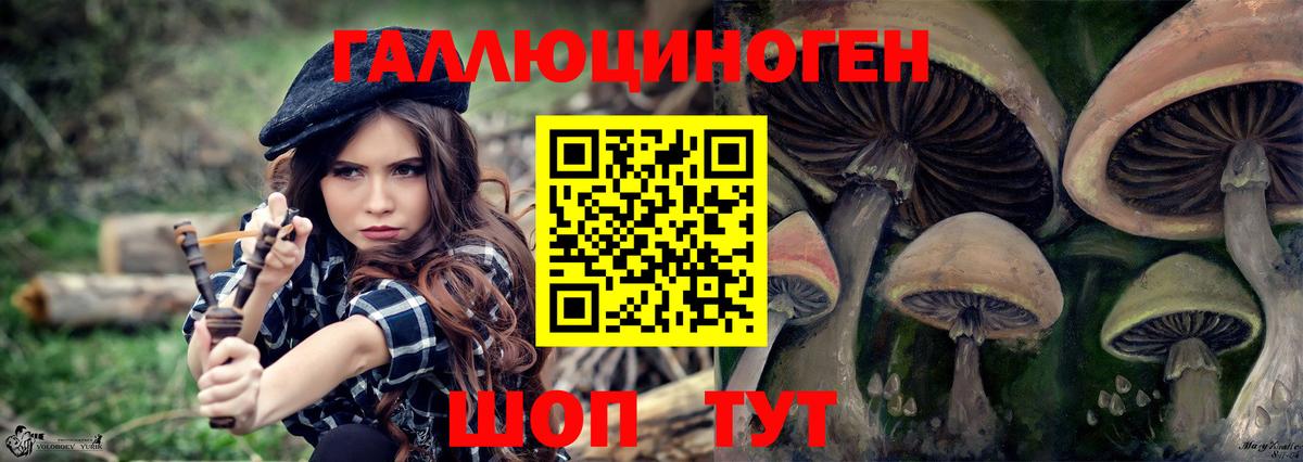 Псилоцибиновые грибы GOLDEN TEACHER  Вход с VPN  Дербент 